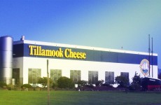 tillamook-cheese-tour