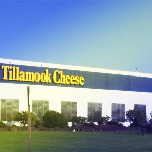 tillamook-cheese-tour